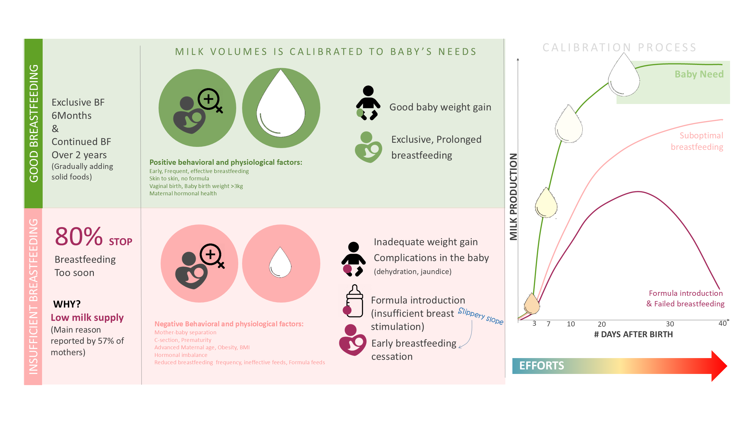 Breastfeeding trajectories building milk supply